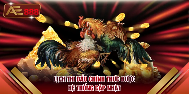 Lịch thi đấu chính thức được hệ thống cập nhật